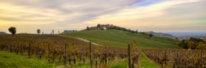Colline che respirano