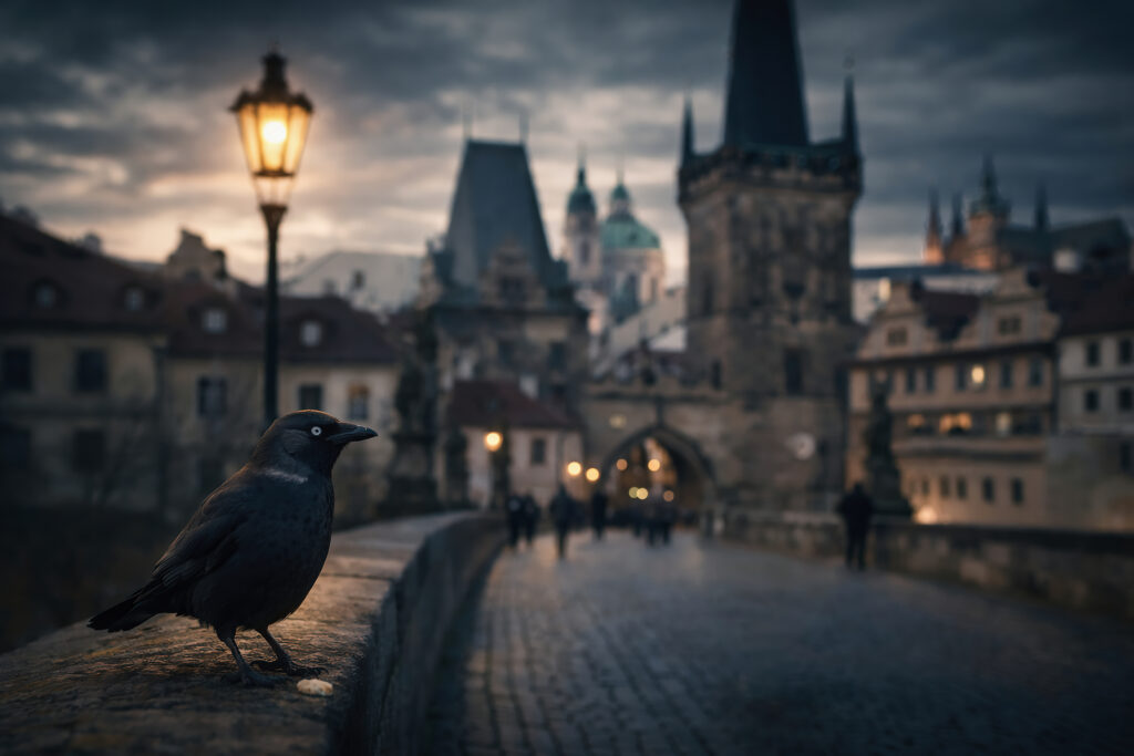 Praga all’alba con il Ponte Carlo e le torri della città