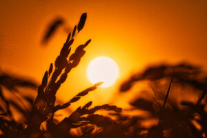 Custodire la luce